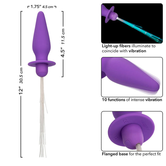 CALEXOTICS - SOUTHERN LIGHTS LIGHT UP ILLUMINATED ANAL PLUGS 10 VIBRATIONS SILICONE PURPLE
