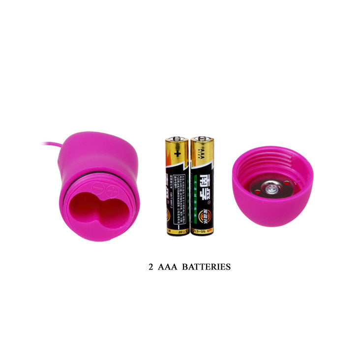 BAILE - CUTE SECRET DOLPHIN VIBRATOR 12V